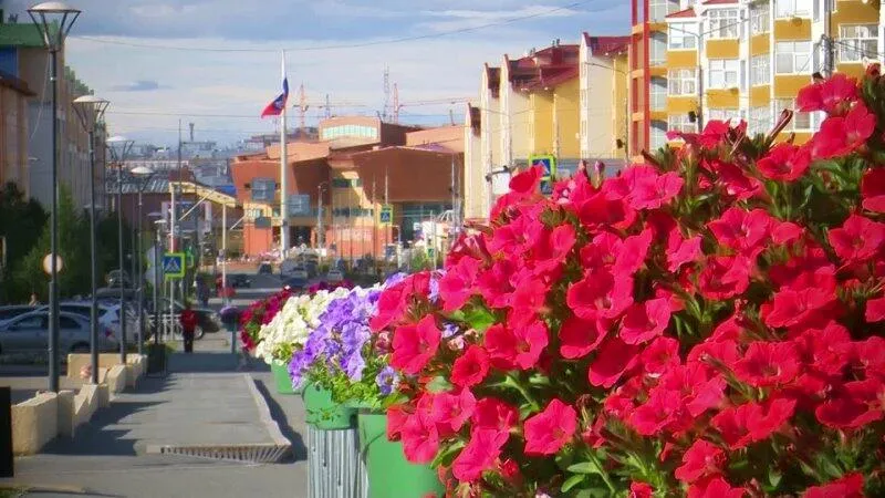 ЯНАО: Департамент финансов ЯНАО